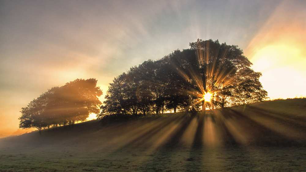 The small deer. von Leif Løndal