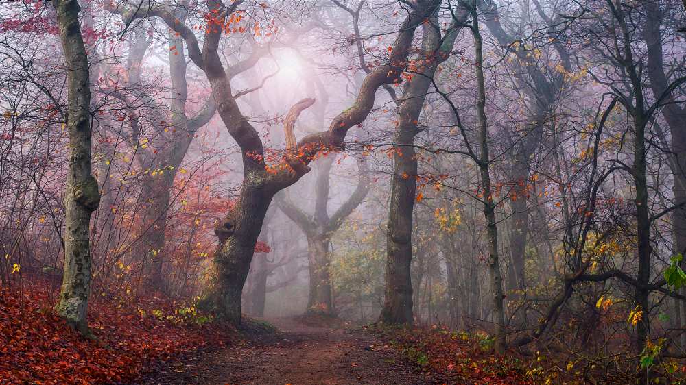 Walking the old path. von Leif Løndal