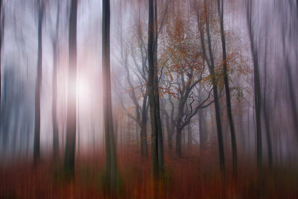 You should have seen. von Leif Løndal