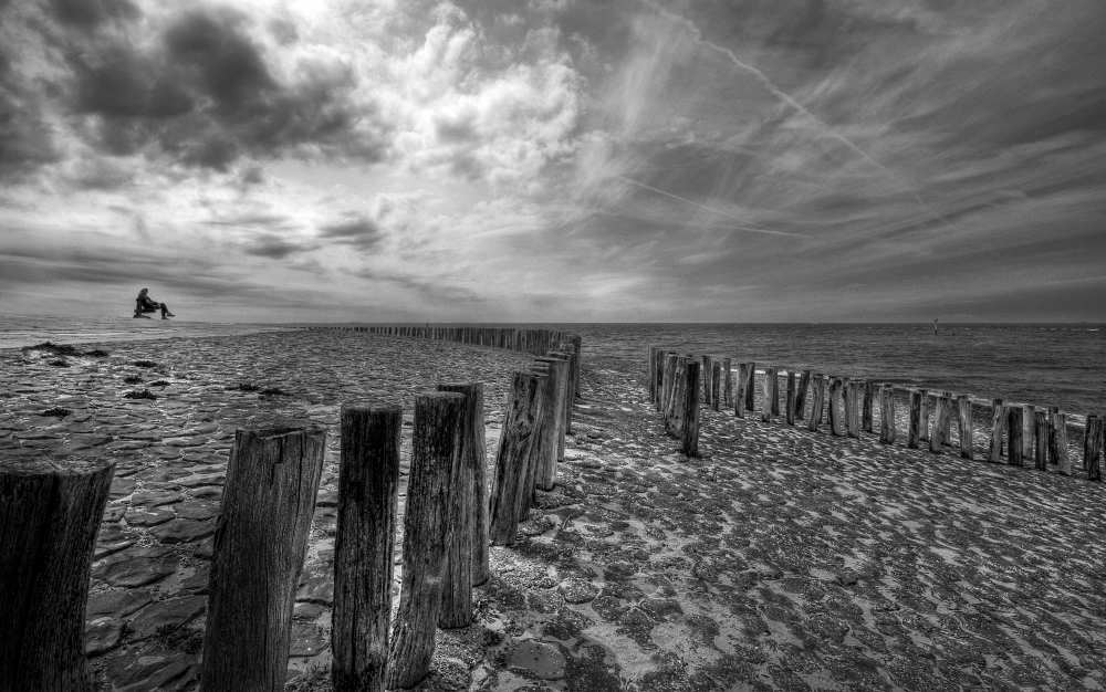 Point of View von Leon