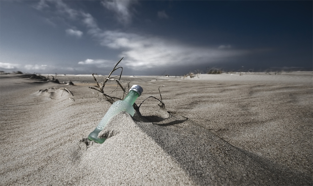 Fisherman's Bottle von Leon