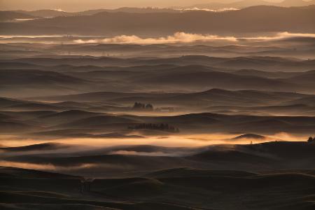 Misty sunrise at Palouse