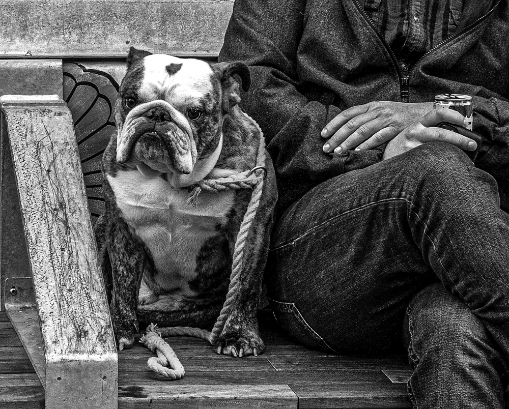 Wanna Talk About It? von Leonid Yermoshkin