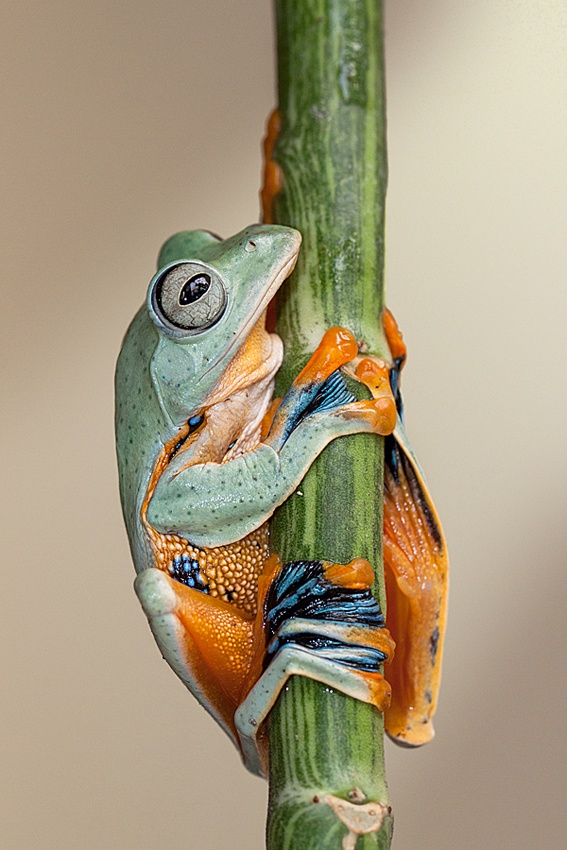 HUG! von Lessy Sebastian