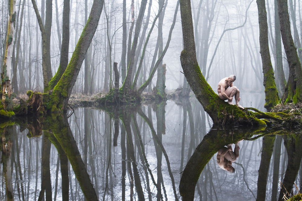 Seclusion von Leszek Paradowski