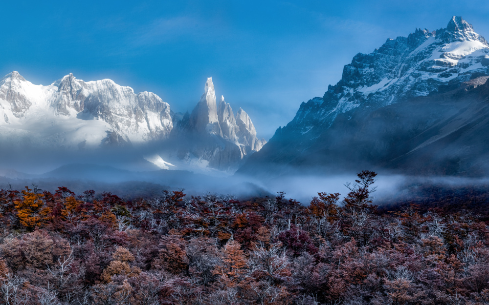 Autumn Wonderland von Li Ying