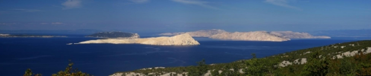 Goli 03 von Liane Matrisch