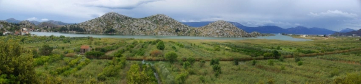 Neretwa Delta 04 von Liane Matrisch