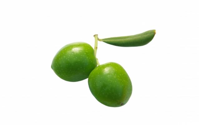 Olive 15 von Liane Matrisch