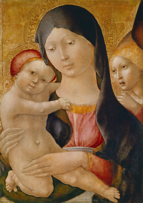Maria mit dem Kinde und einem Engel von Liberale da Verona