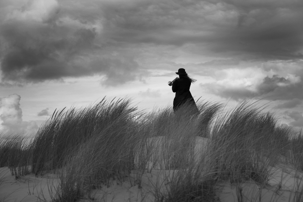 *** von Liesbeth van der Werf