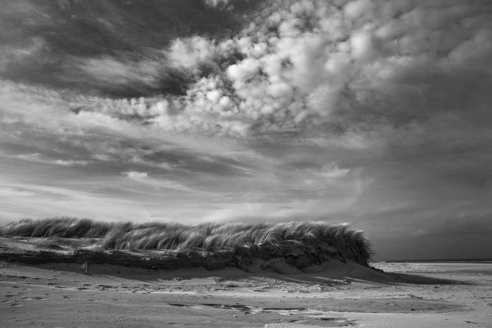 Untitled von Liesbeth van der Werf