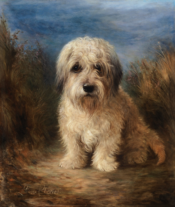 Dandie Dinmont Terrier. von Lilian Cheviot