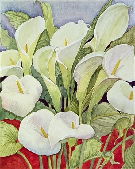 Arum Lillies, 1978 (watercolour) von Lillian  Delevoryas