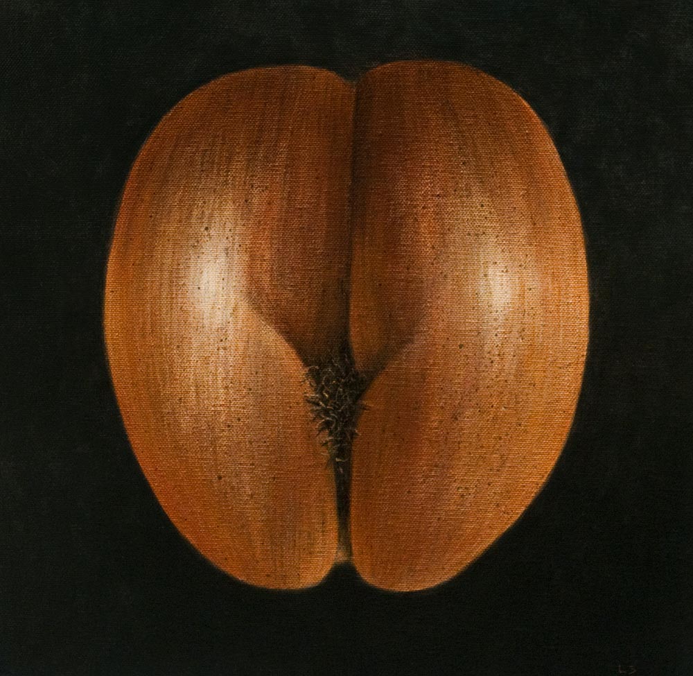 Coco de Mer von Lincoln  Seligman