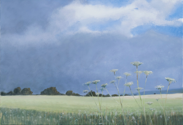 Cow Parsley von Lincoln  Seligman