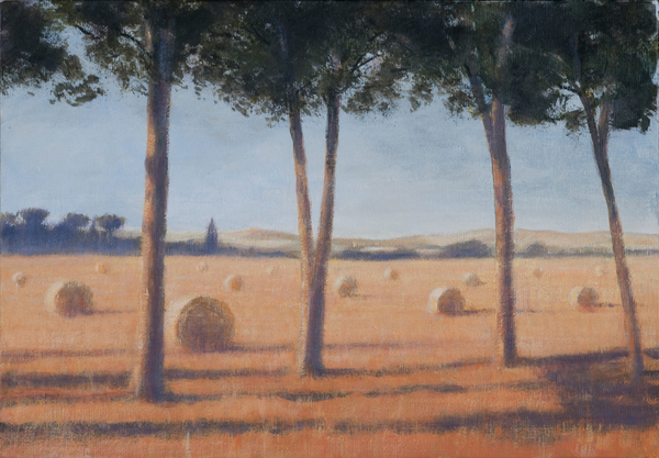 Hay Bales and Pines, Pienza von Lincoln  Seligman