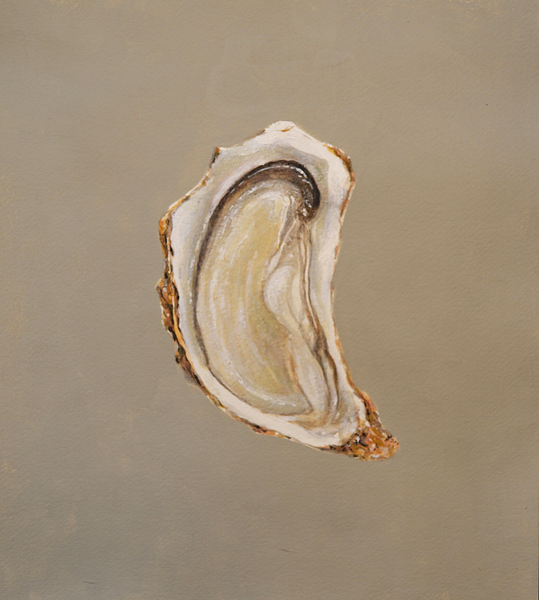 Oyster 2 von Lincoln  Seligman