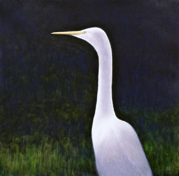 White Egret (oil on canvas) 
