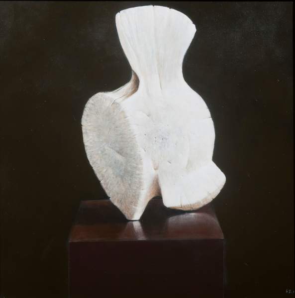 Whole Vertebra von Lincoln  Seligman