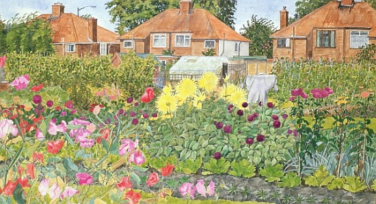 Allotments and Dahlias  von Linda  Benton