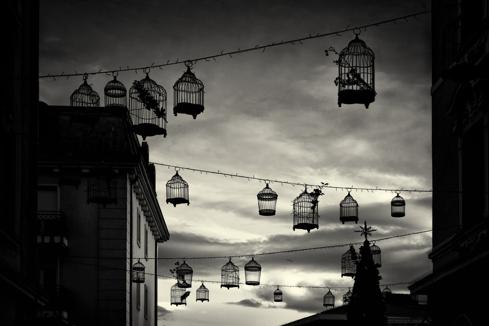 A strange street von Linda Blazic-Mirosevic