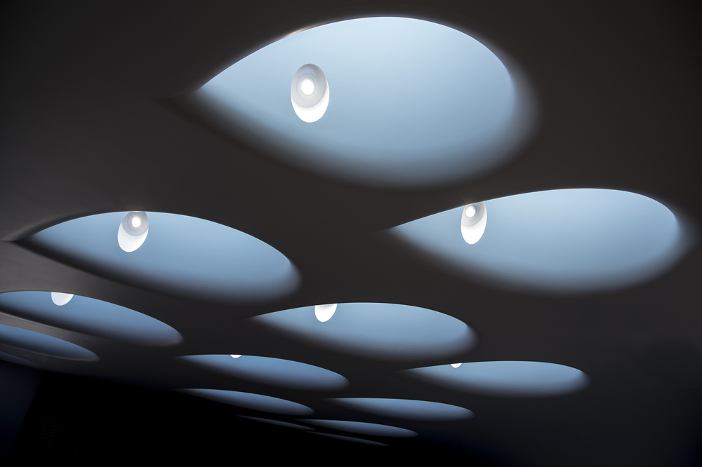 eyes in the sky von Linda Wride