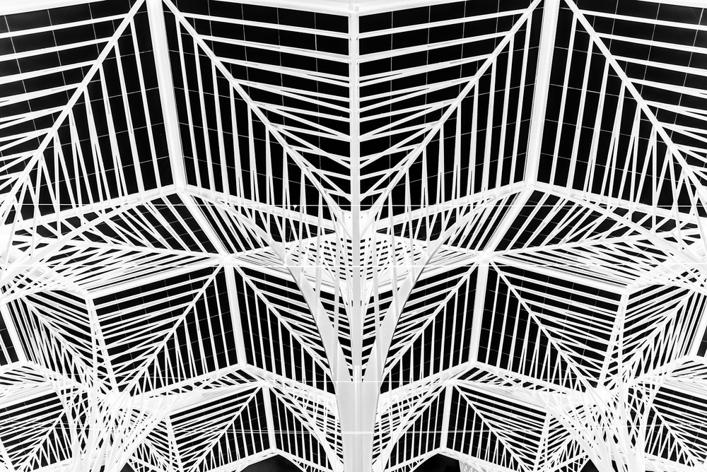 Enter the web von Linda Wride