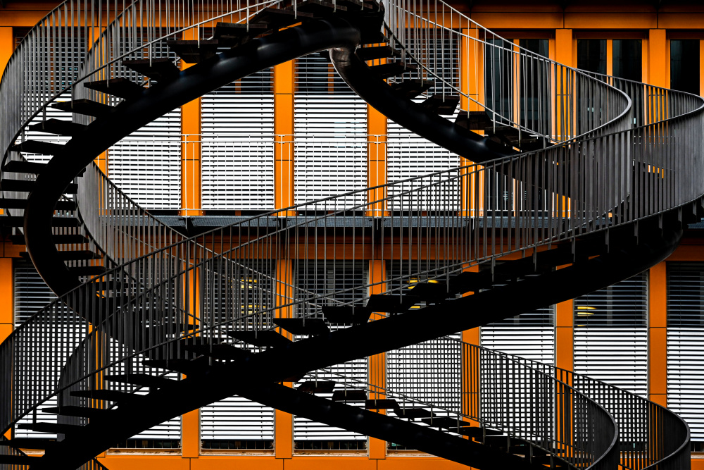 double helix von Linda Wride