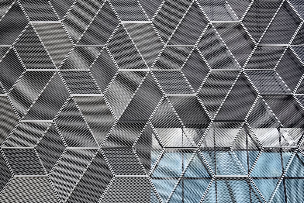 shape shifter von Linda Wride