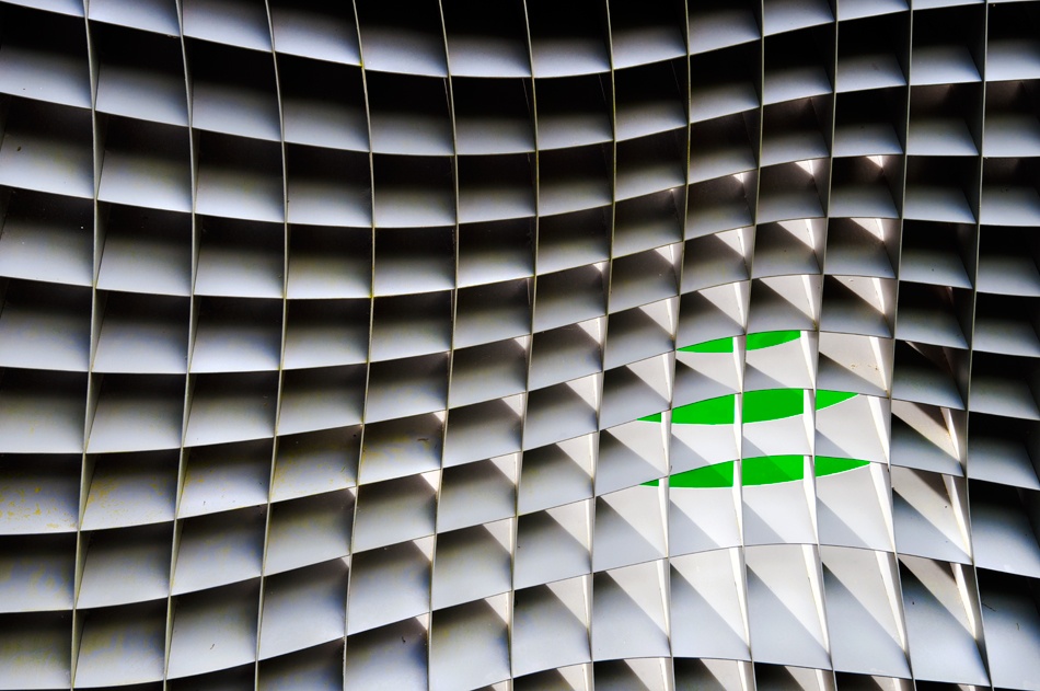 green beyond von Linda Wride