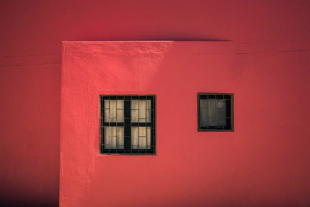 In the pink von Linda Wride