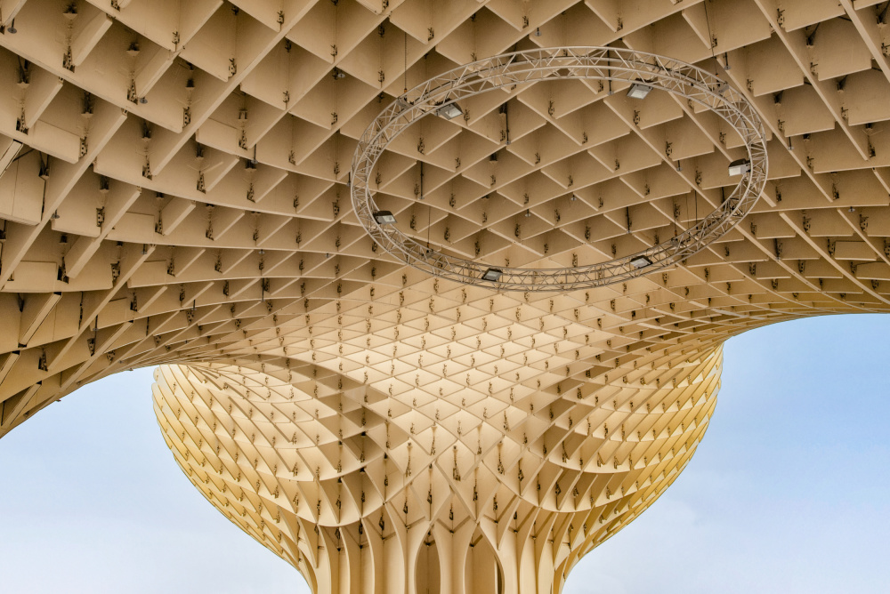 Las Setas (the mushrooms) #2 von Linda Wride