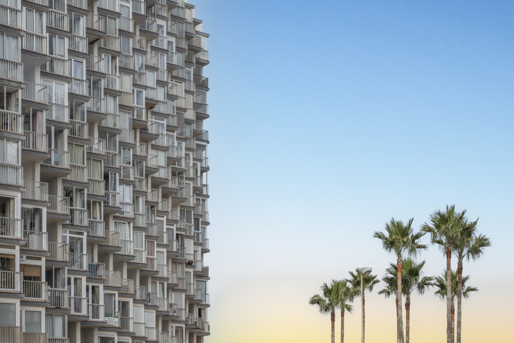 Palms and apartments von Linda Wride