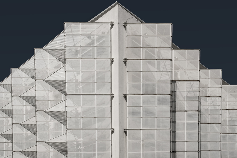 Sun Shield von Linda Wride