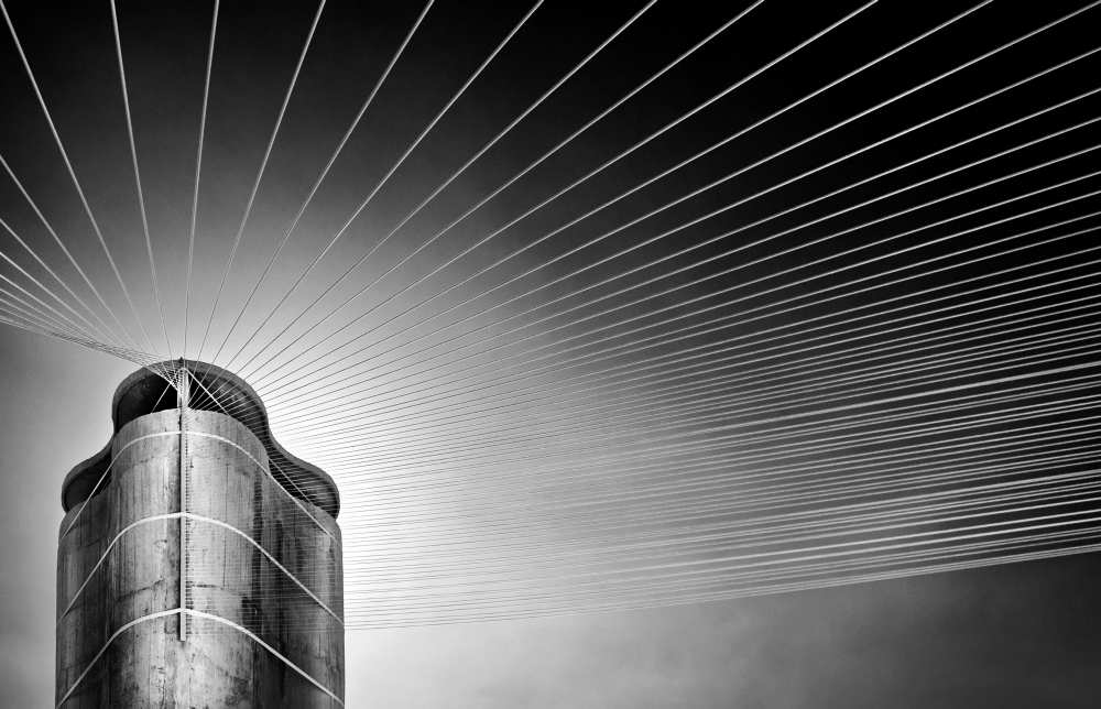 tower of the strings von Linda Wride