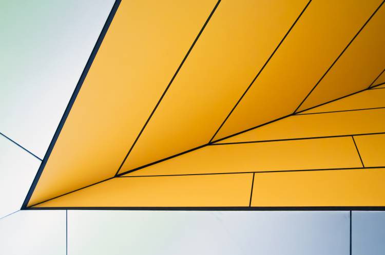 yellow dart von Linda Wride