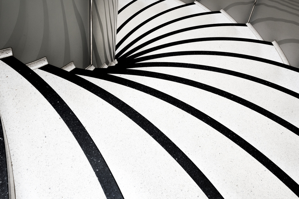 zebra steps von Linda Wride