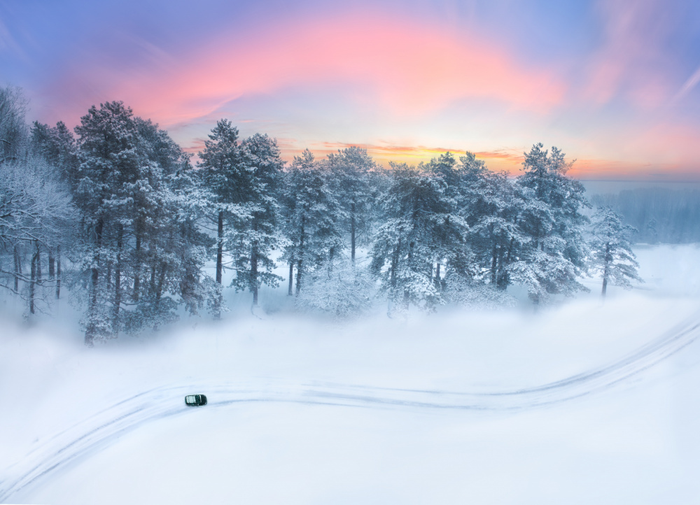 Winter Morning Glow von Ling Lu