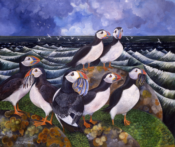 Puffins von Lisa Graa Jensen