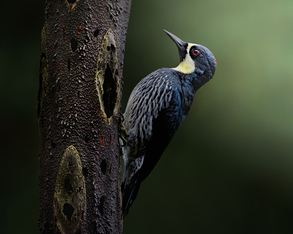 Only for me von Lisandro PEREZ