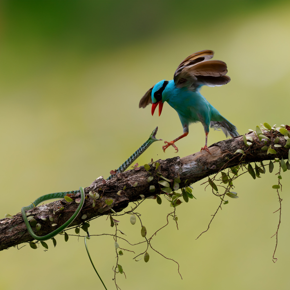 untitledl von Lisdiyanto Suhardjo