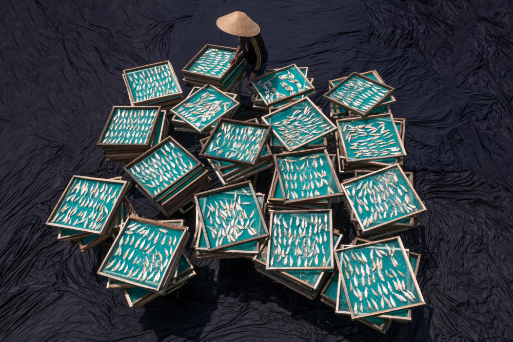 Drying Saltfish von Lisdiyanto Suhardjo