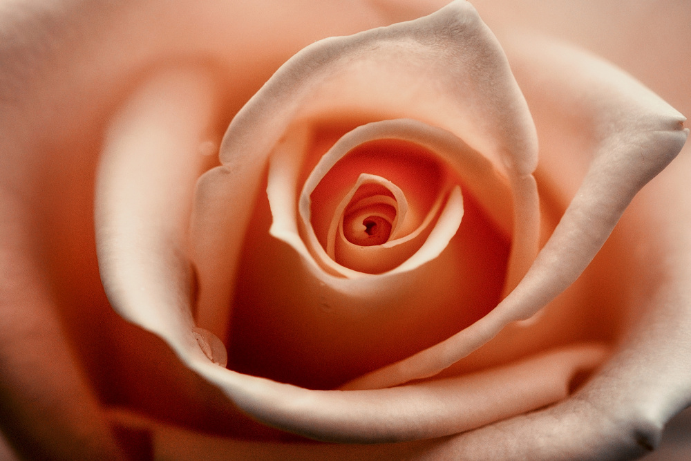 Just for you von Lita Pratikto