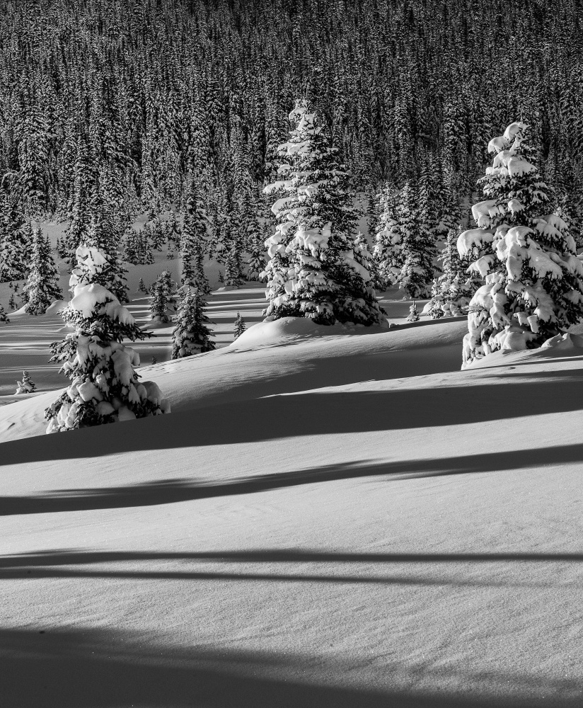 untitledl von Liwen Tao