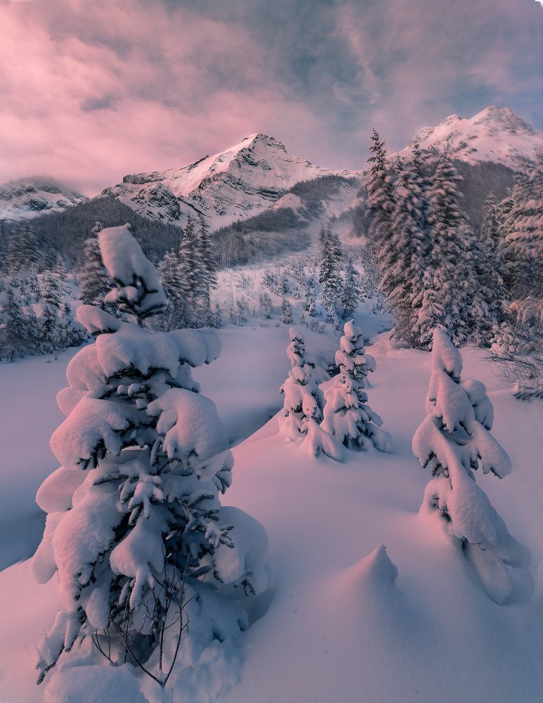 snowy winter von Liwen Tao