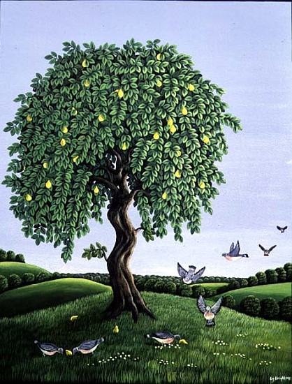 Quince Tree and Pigeons, 1983 (gouache)  von Liz  Wright