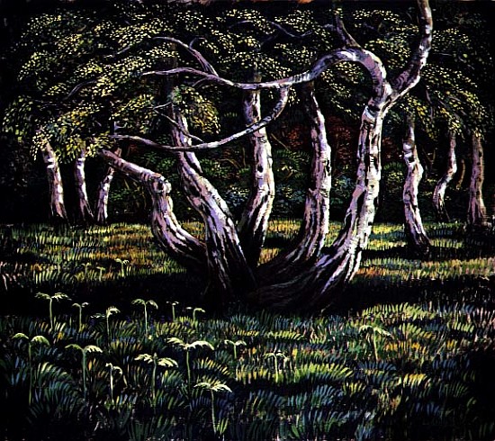Silver Birch Trees, 1988  von Liz  Wright