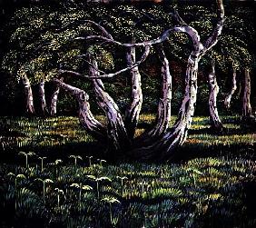 Silver Birch Trees, 1988 