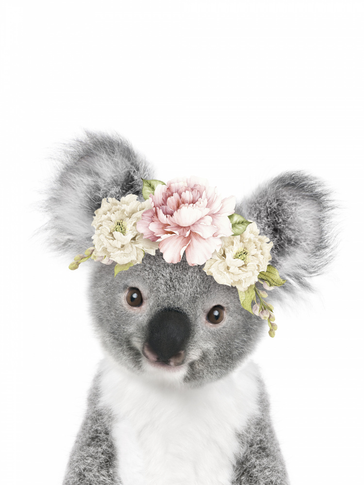 Floral Baby Koala von Lola Peacock